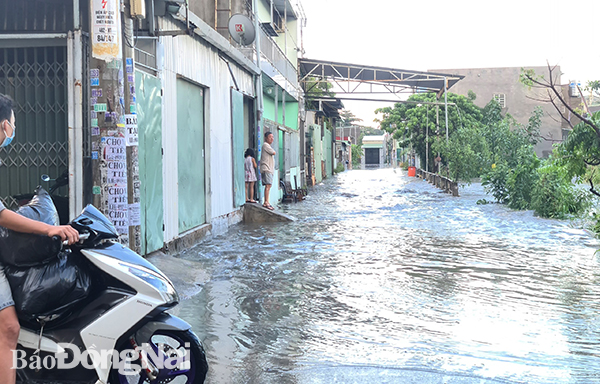 Tuyến đường trong khu dân cư ven suối Săn Máu (P.Trảng Dài, TP.Biên Hòa) ngập nặng, nước dâng cao