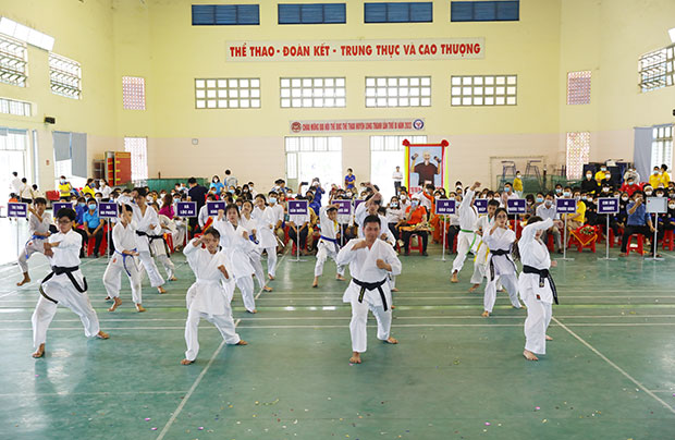 Đồng diễn võ thuật karatedo