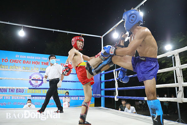 Các VĐV thi đấu nội dung kickboxing