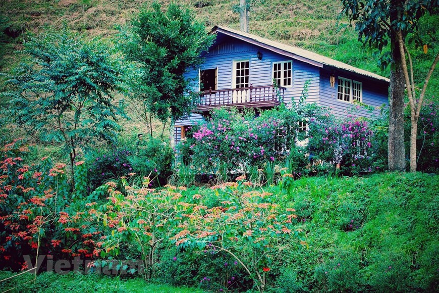 Even deep in the forest, “fairy wooden houses” are adorned with colourful flowers.