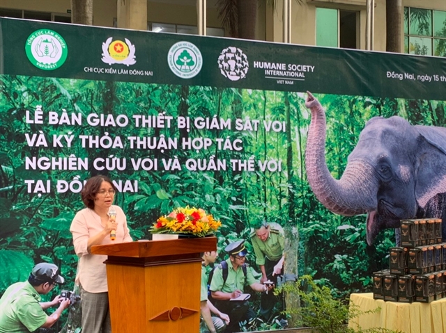 Đồng Nai Province's Department of Forest Protection is implementing the project "Protecting Asian elephants in Đồng Nai through solutions to reduce and prevent human-elephant conflict sustainably."— VNS Photo.