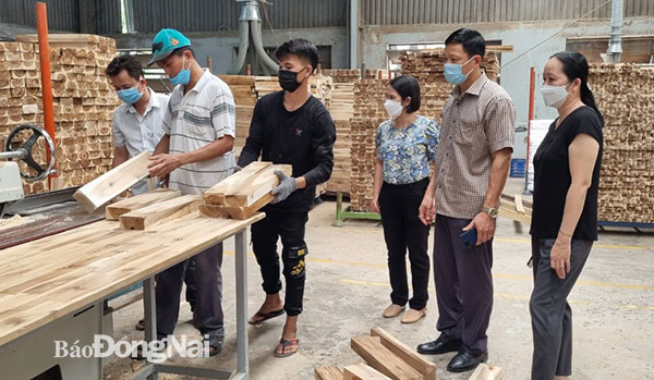Đoàn kiểm tra việc thực hiện các quy định về an toàn vệ sinh lao động tại Công ty TNHH Phú Mỹ Thăng (H.Vĩnh Cửu). Ảnh: Lan Mai