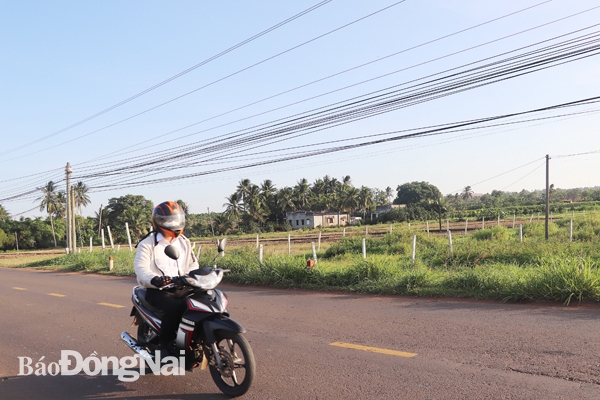 H.Xuân Lộc có nhiều thửa đất nông nghiệp được tách thửa để mua đi bán lại. Ảnh: H.GIANG