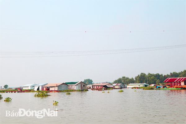 Quy hoạch các vùng nuôi cá bè trên hồ Trị An: Vẫn còn bất hợp lý