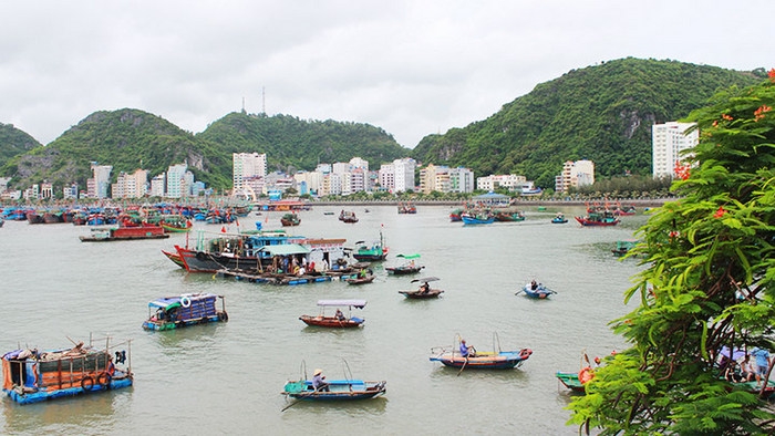 Experience of going up to the forest and down to the sea on Cat Ba Island