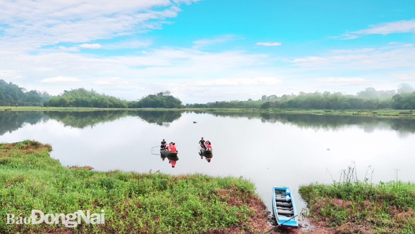Bảo vệ đa dạng sinh học vùng đất ngập nước Bàu Sấu: Nhiều thách thức