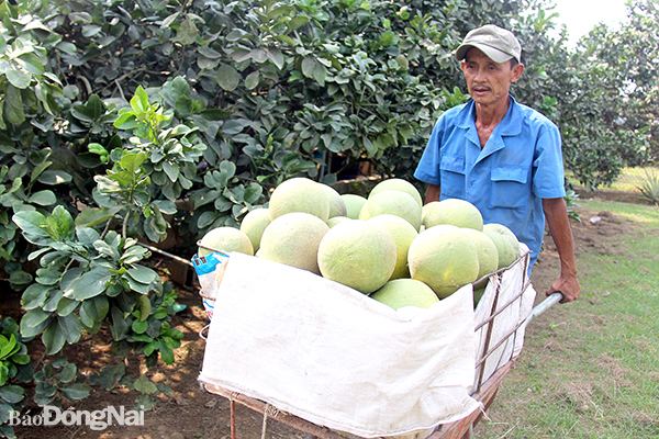 Loans for new rural areas up 14 pct