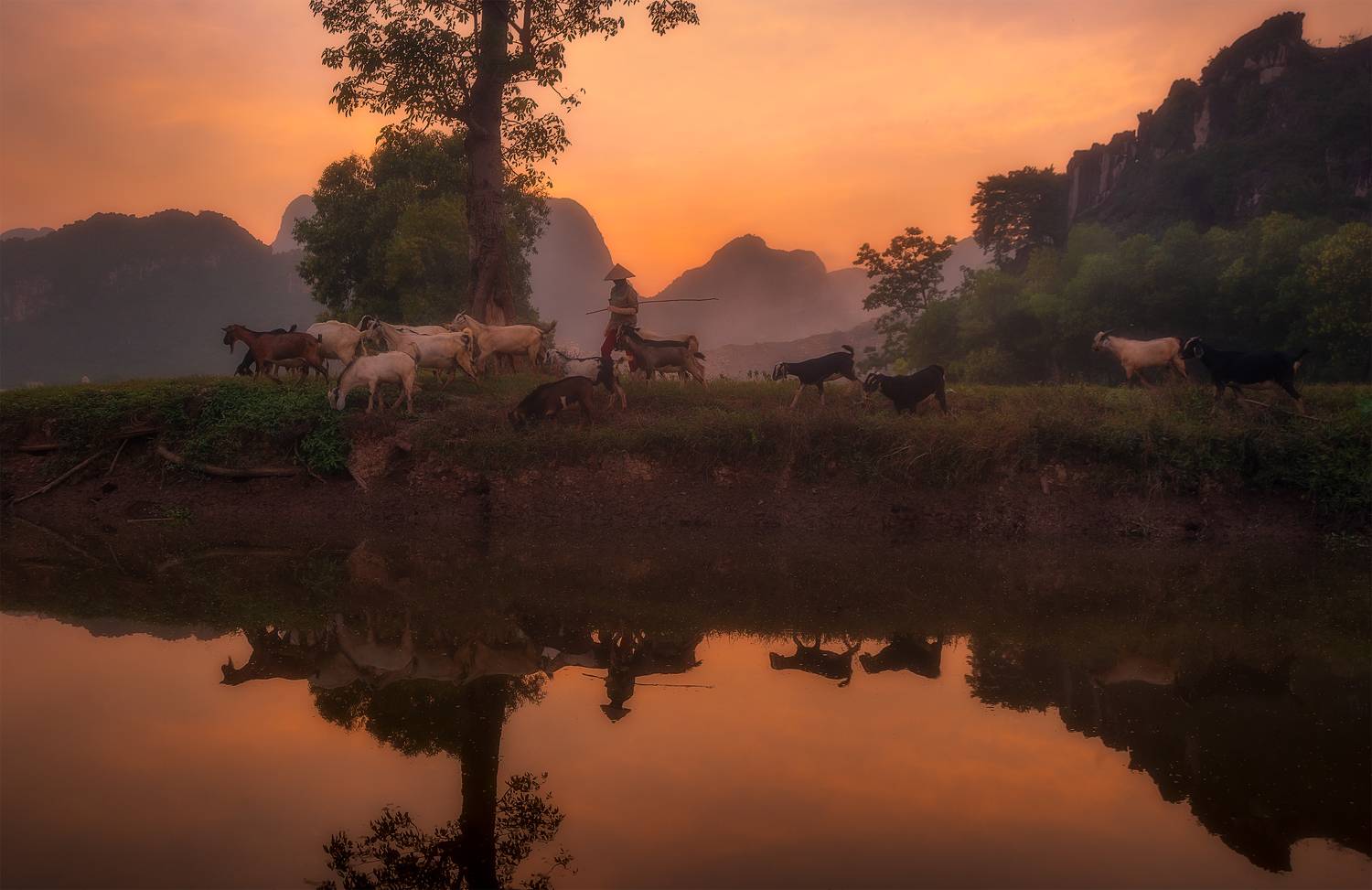 Photographer Nguyen Gia Bao, a native of the northern Ha Nam Province, captures the beauty of his hometown at sunset.  The photo of local farmer walking home with his herd of goats in Thanh Liem District was also a top 100 daily life selection.