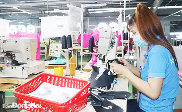 Doanh nghiệp lo thiếu nguyên liệu đầu vào cho sản xuất