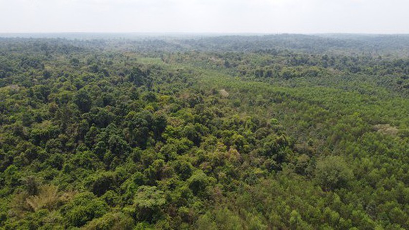 UNESCO proposes not to build a road through Dong Nai World Biosphere Reserve’s core zone