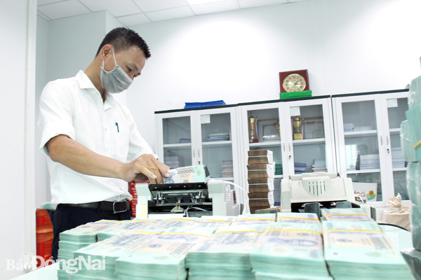 Hoạt động kiểm đếm tiền mặt tại một chi nhánh ngân hàng thương mại ở TP.Biên Hòa. Ảnh: Hải Hà