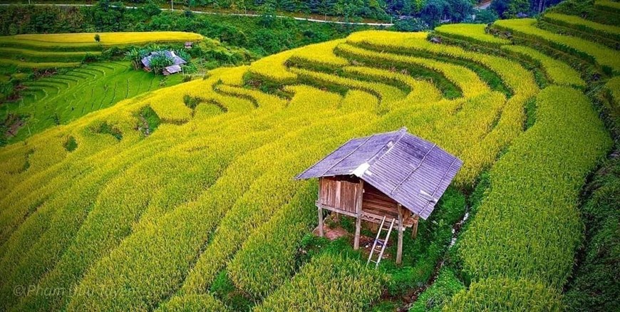 Charming terraced rice fields in Hung Dao commune, Bao Lac district. 