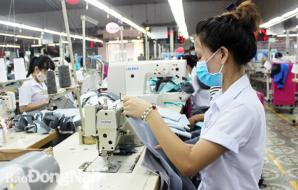 Dong Nai GRDP grows over 7% in H1