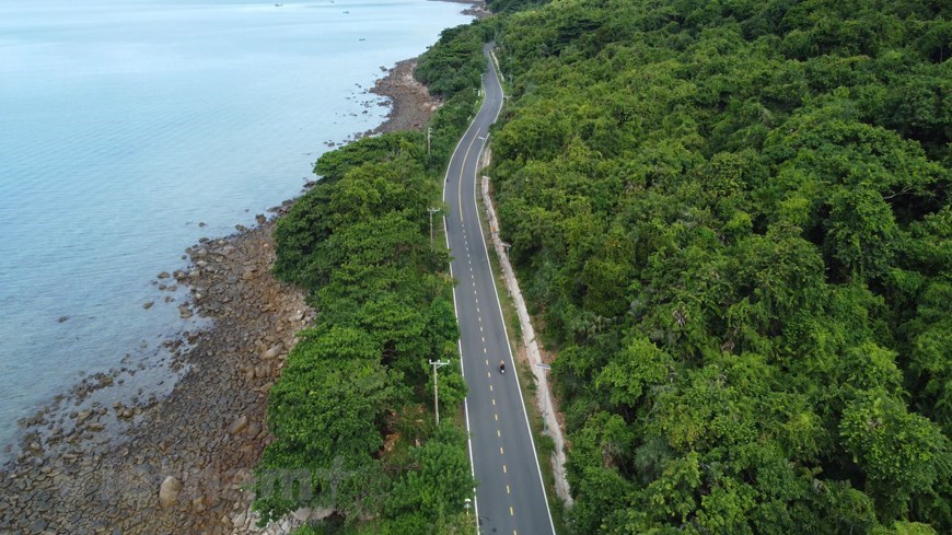 Con Dao National Park boasts pristine and valuable forests. 