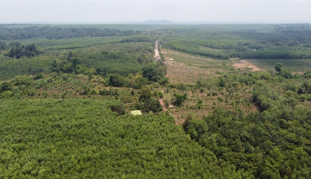 A view of the core zone in the Đồng Nai biosphere reserve. — VNA/VNS Photo Sỹ Tuyên