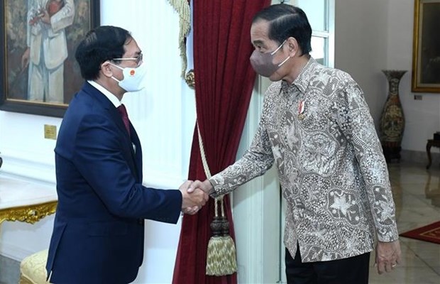 Vietnamese Minister of Foreign Affairs Bui Thanh Son (left) meets with Indonesian President Joko Widodo in Jakarta on July 20.