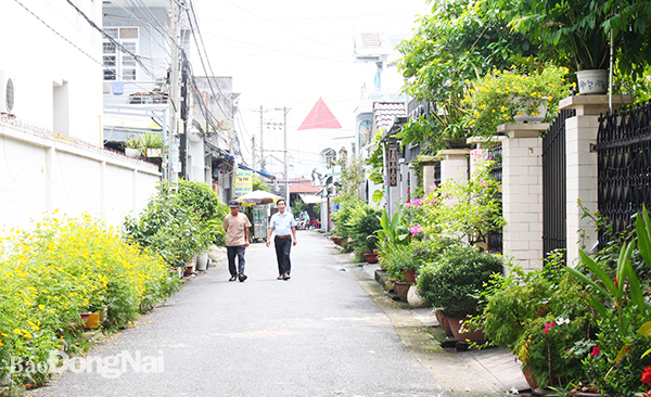 Tuyến đường sáng, xanh, sạch đẹp được người dân KP.8, P.Tân Phong, TP.Biên Hòa hưởng ứng, gìn giữ và nhân rộng. Ảnh: L.Na