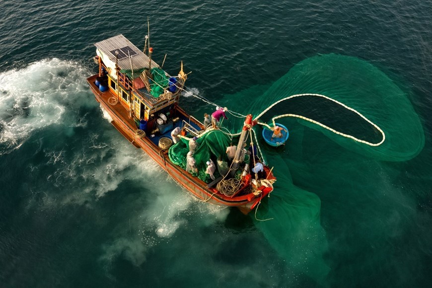 Fishermen pull in the nets and get ready to load the fish onboard fishing vessels. 