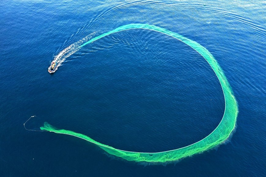 An aerial view of the cast nets. 