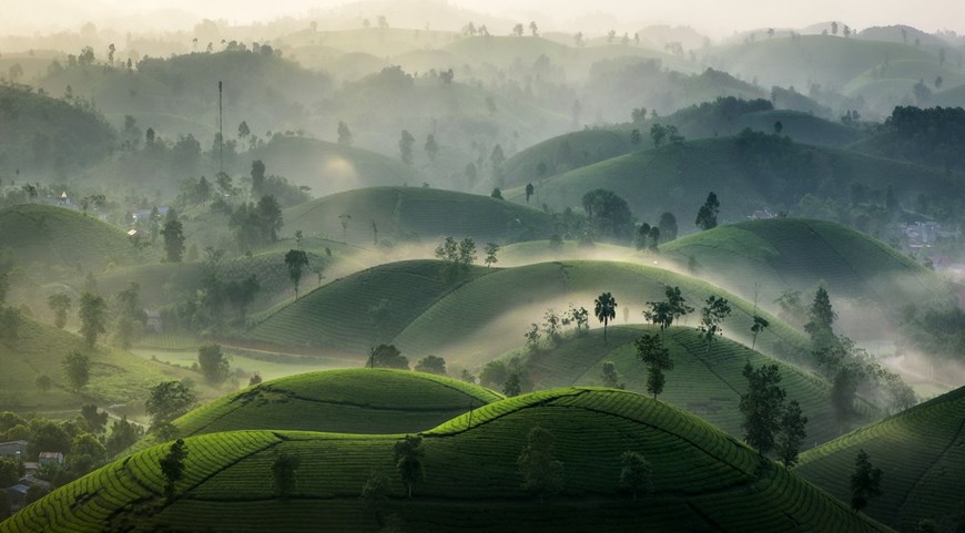 Long Coc in Phu Tho Province, 125 kilometers from Hanoi, comprises numerous hills covered in tea plantations. They look like upturned bowls placed next to each other. 