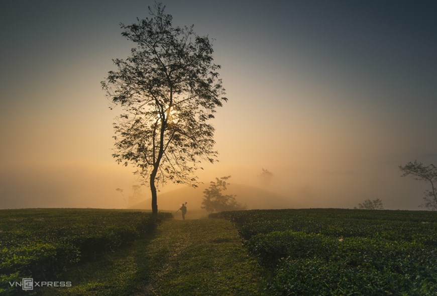 Long Coc is considered as one of the most beautiful tea hills in Vietnam. It is also an ideal place to chill and stay away from the bustle of the city thanks to the tranquility of the hills. 