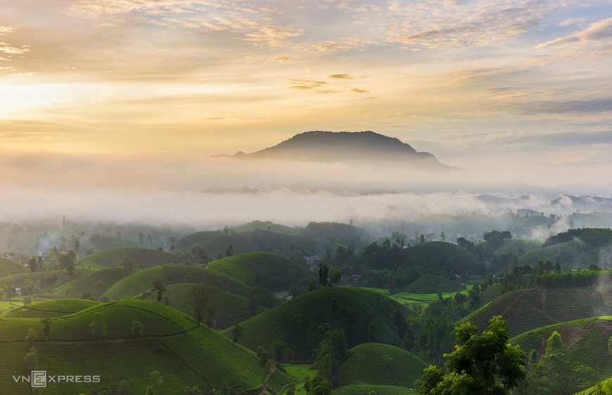 Tea farming is an important occupation in Phu Tho and the main source of income for many locals. 