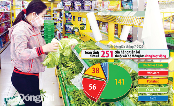 Trên địa bàn tỉnh hiện có 251 cửa hàng tiện lợi thuộc các hệ thống lớn Trong ảnh: Người tiêu dùng chọn mua các loại rau xanh tại một cửa hàng tiện lợi ở TP.Biên Hòa