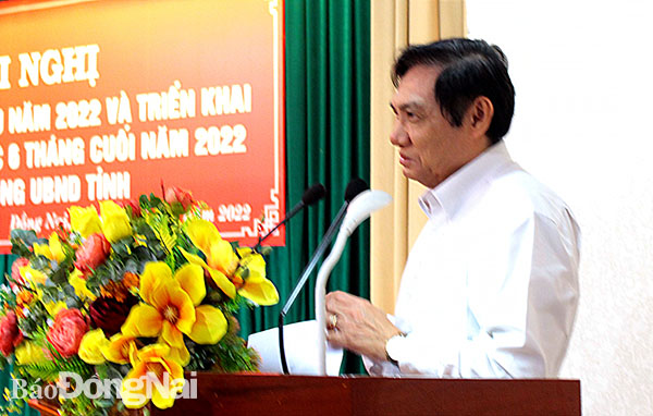 Phó chủ tịch UBND tỉnh Nguyễn Sơn Hùng phát biểu chỉ đạo tại hội nghị