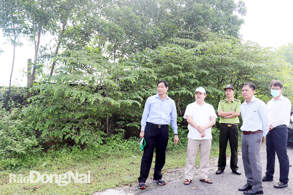 Phó chủ tịch UBND tỉnh Võ Văn Phi (bìa trái) đi kiểm tra đất công H.Nhơn Trạch