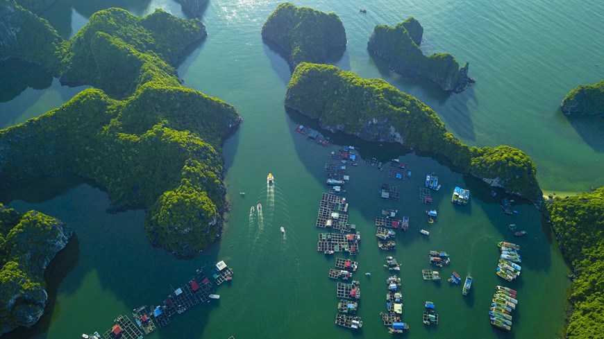 An aerial view of Lan Ha Bay, which was among the most beautiful bays of the world. The bay is home to hundreds of magnificent mountains and ancient caves. 