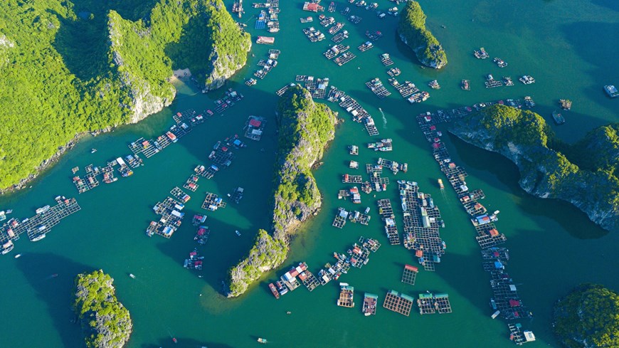 An aerial view of Lan Ha Bay, which was among the most beautiful bays of the world. The bay is home to hundreds of magnificent mountains and ancient caves. 