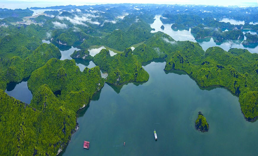 The dramatic landscapes of Cat Ba Island are characterised by limestone boulders, coral reefs, mangrove forests, lagoons, beaches, and willow swamp forests. Its variety of natural ecosystems explains why the island is home to over 1,500 species of flora and fauna, some of which do not exist anywhere else. 