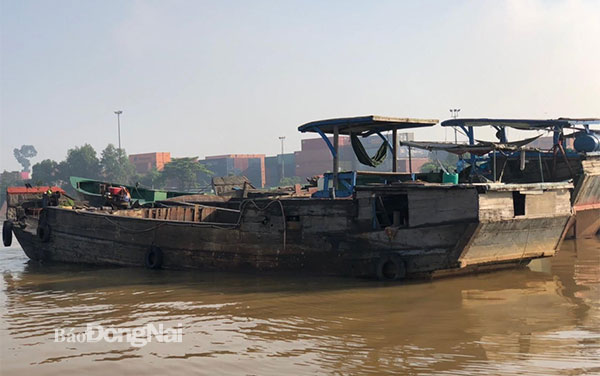Các ghe bơm hút, vận chuyển cát trái phép trên sông Đồng Nai (P.Long Bình Tân, TP.Biên Hòa) bị tạm giữ khuya 31-8. Ảnh: CTV