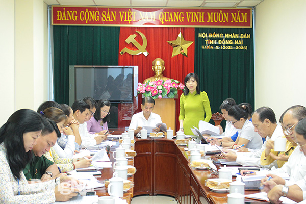  Trưởng Ban Văn hóa - xã hội HĐND tỉnh Huỳnh Ngọc Kim Mai chủ trì cuộc họp phát biểu tại buổi làm việc