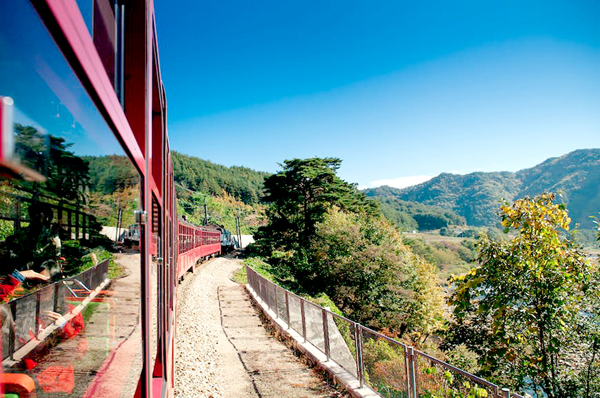 Ngắm cảnh núi non và thưởng thức không khí trong lành giữa các thành phố của Hàn Quốc trên tàu lửa