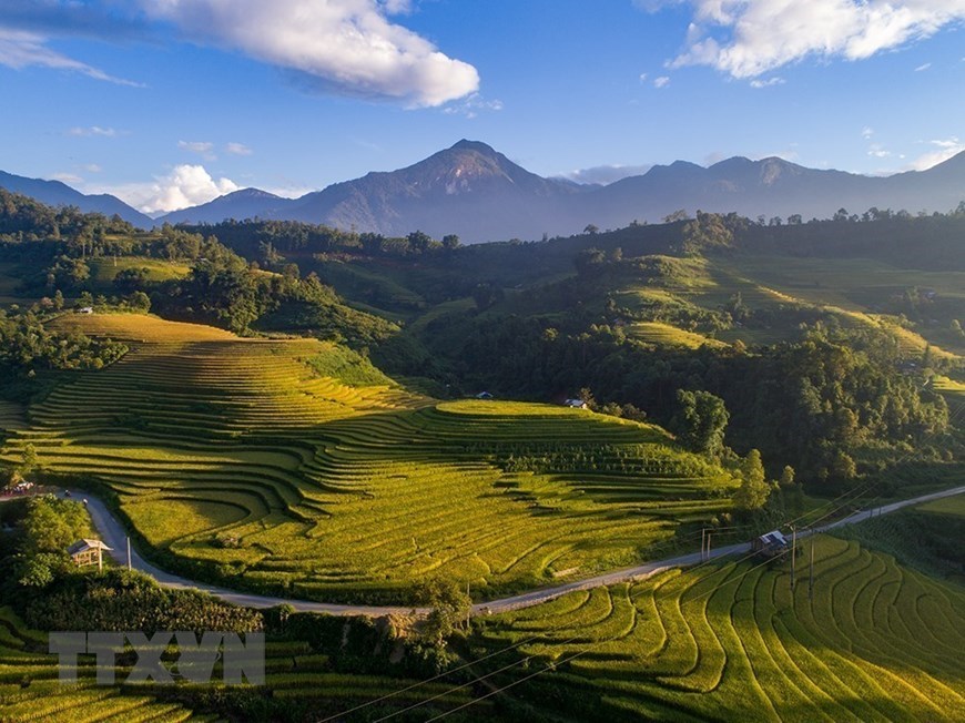 A ‘golden’ afternoon in Sa Pa. 