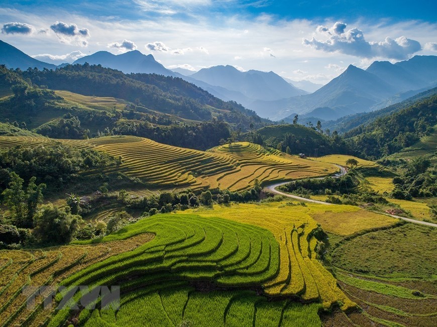 Sa Pa charms during the ripening rice season.