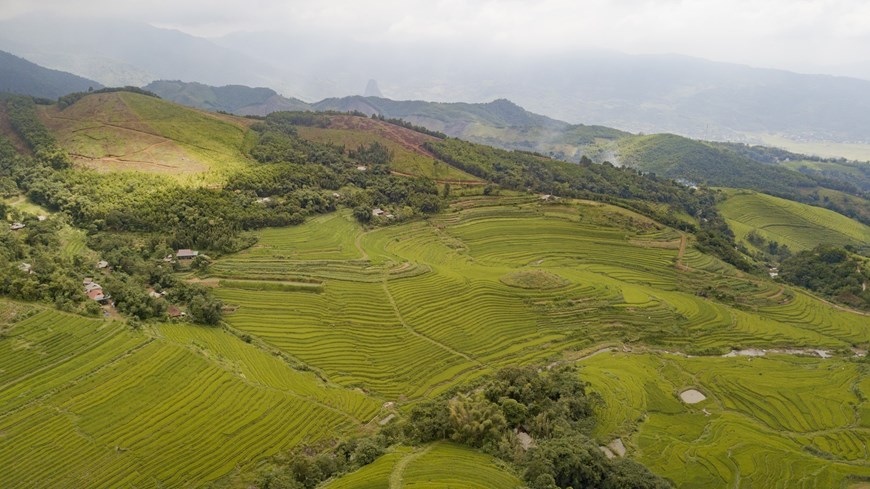 Building terraced rice fields begins at the top and reaches down to the foot of the hill, creating a spectacular landscape. 