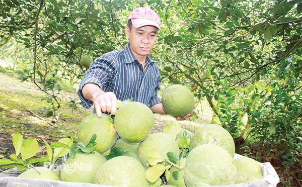 Để nông dân có đời sống thịnh vượng