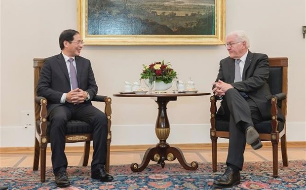 Minister of Foreign Affairs Bui Thanh Son (L) and his German counterpart Annalena Baerbock. 