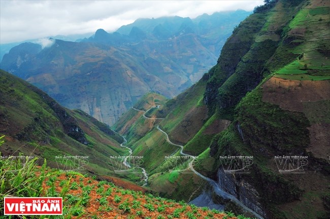 Ma Pi Leng Pass in Ha Giang. 