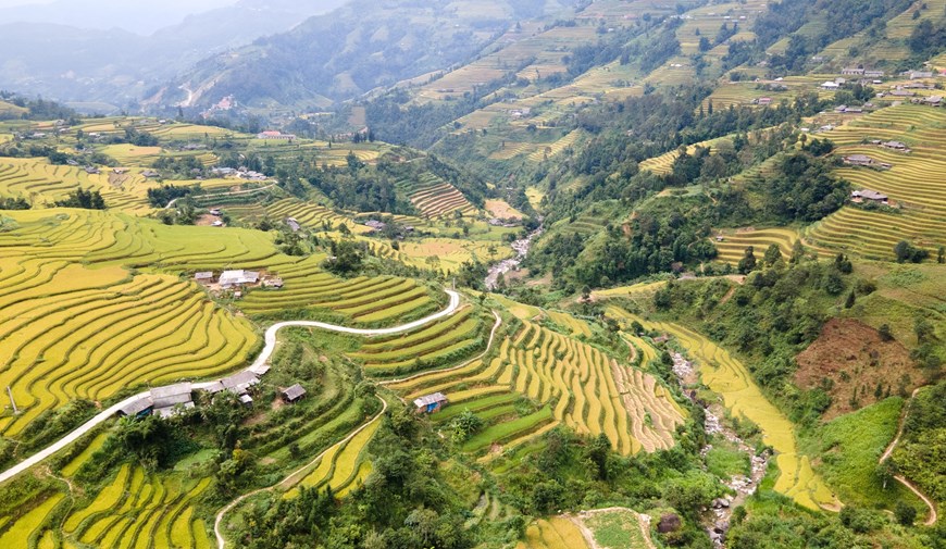 Golden fields run along the mountains. 