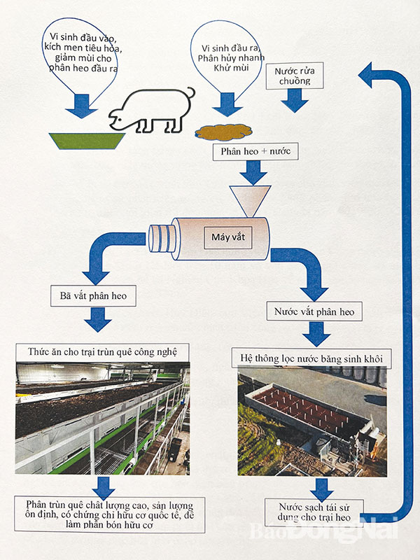 Sơ đồ mô hình xử lý chất thải heo bằng trùn quế