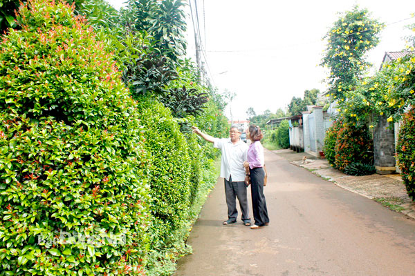 Khuôn viên đẹp từ nhà ra ngõ của một hộ dân tại P.Xuân Thanh (TP.Long Khánh). Ảnh: B.Nguyên