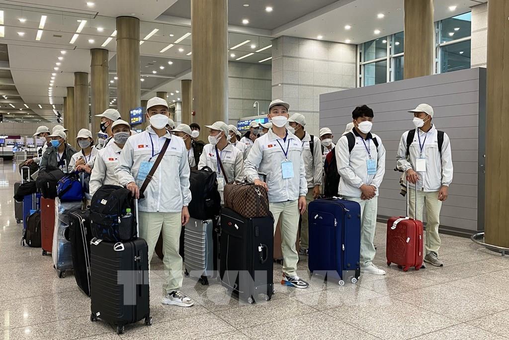 Vietnamese employees prepare to fly to South Korea for work – PHOTO: VNA