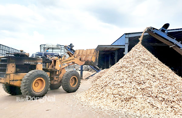 Gỗ dăm là nguồn nguyên liệu cho sản xuất viên nén. Trong ảnh: Làm dăm gỗ tại một doanh nghiệp trên địa bàn TP.Long Khánh. Ảnh: V.Thế