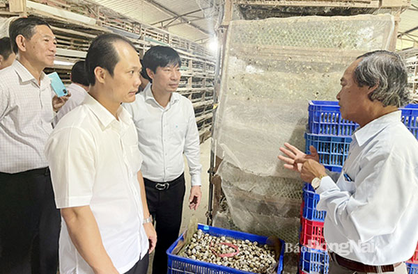 Đoàn công tác của Trung ương Hội Nông dân Việt Nam tham quan mô hình chăn nuôi của hộ ông Võ Hữu Thời ở xã Lộc An (H.Long Thành). Ảnh: N.Hiếu