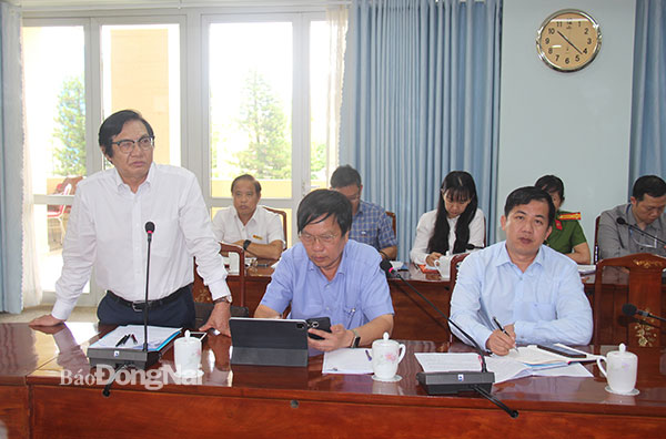 Phó chủ tịch UBND tỉnh Nguyễn Sơn Hùng chia sẻ ý kiến tại cuộc họp. Ảnh: Hải Quân