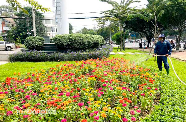 Khi bãi rác thành hoa viên cây xanh