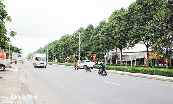 Đường cao tốc Tân Phú - Bảo Lộc khi hoàn thành xây dựng sẽ góp phần chia sẻ lưu lượng giao thông trên tuyến quốc lộ 20 đoạn qua TT.Tân Phú (H.Tân Phú). Ảnh: P.Tùng